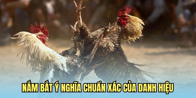 Gà Danh Thomo Ý Nghĩa Là Gì? Nắm Bắt Thông Tin Chuẩn Xác 5 Nắm bắt ý nghĩa chuẩn xác của danh hiệu